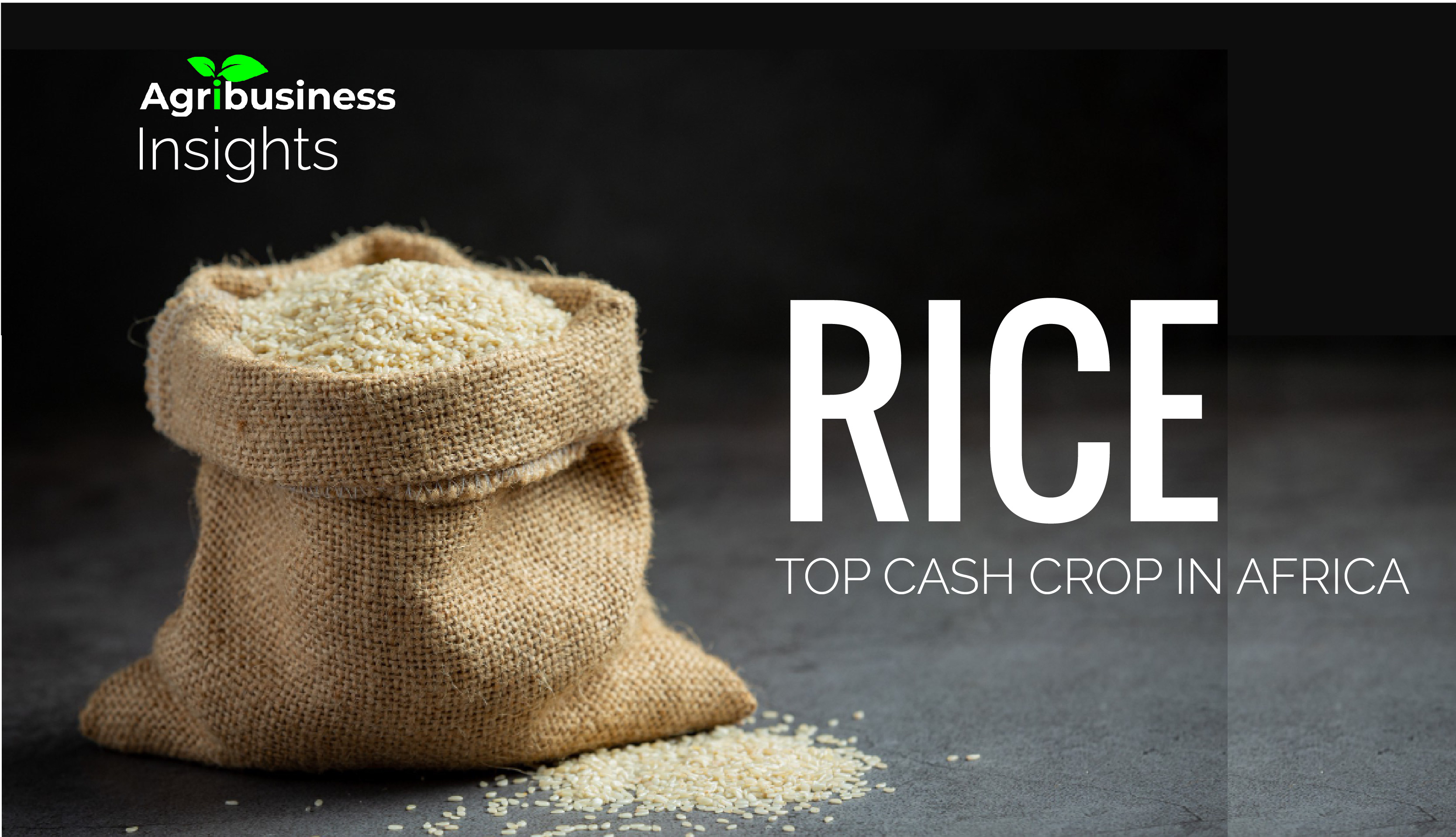 RICE, Top cash crops in Africa